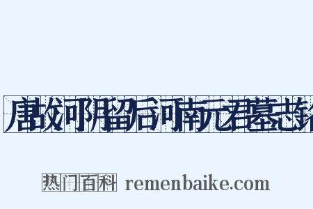 唐故河阴留后河南元君墓志铭是什么意思的图片